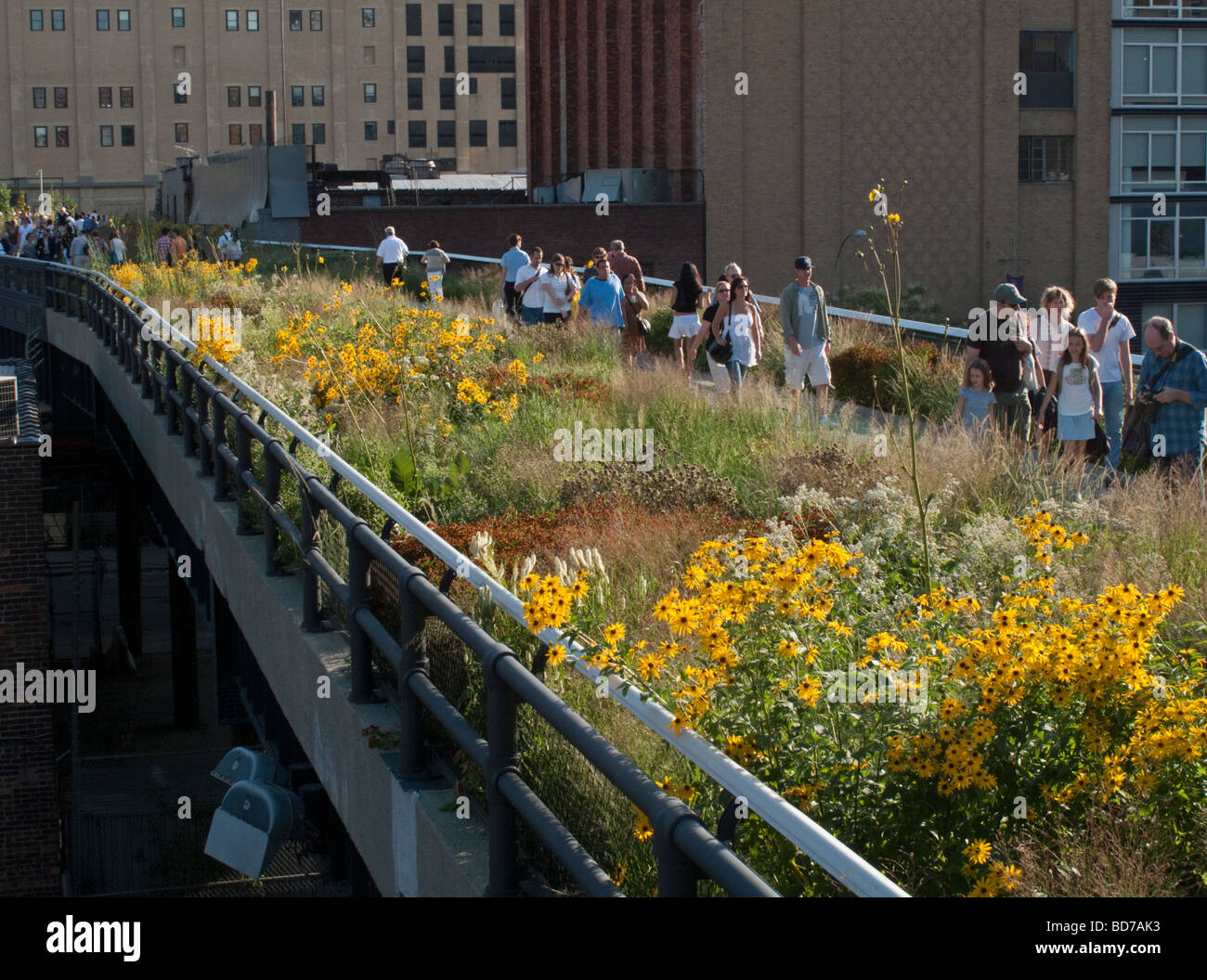 The High Line park in New York City Stock Photo