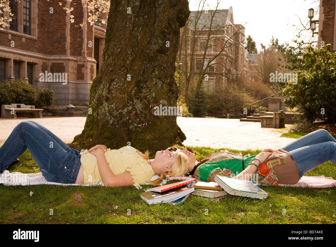 Teen girls on college campus Stock Photo