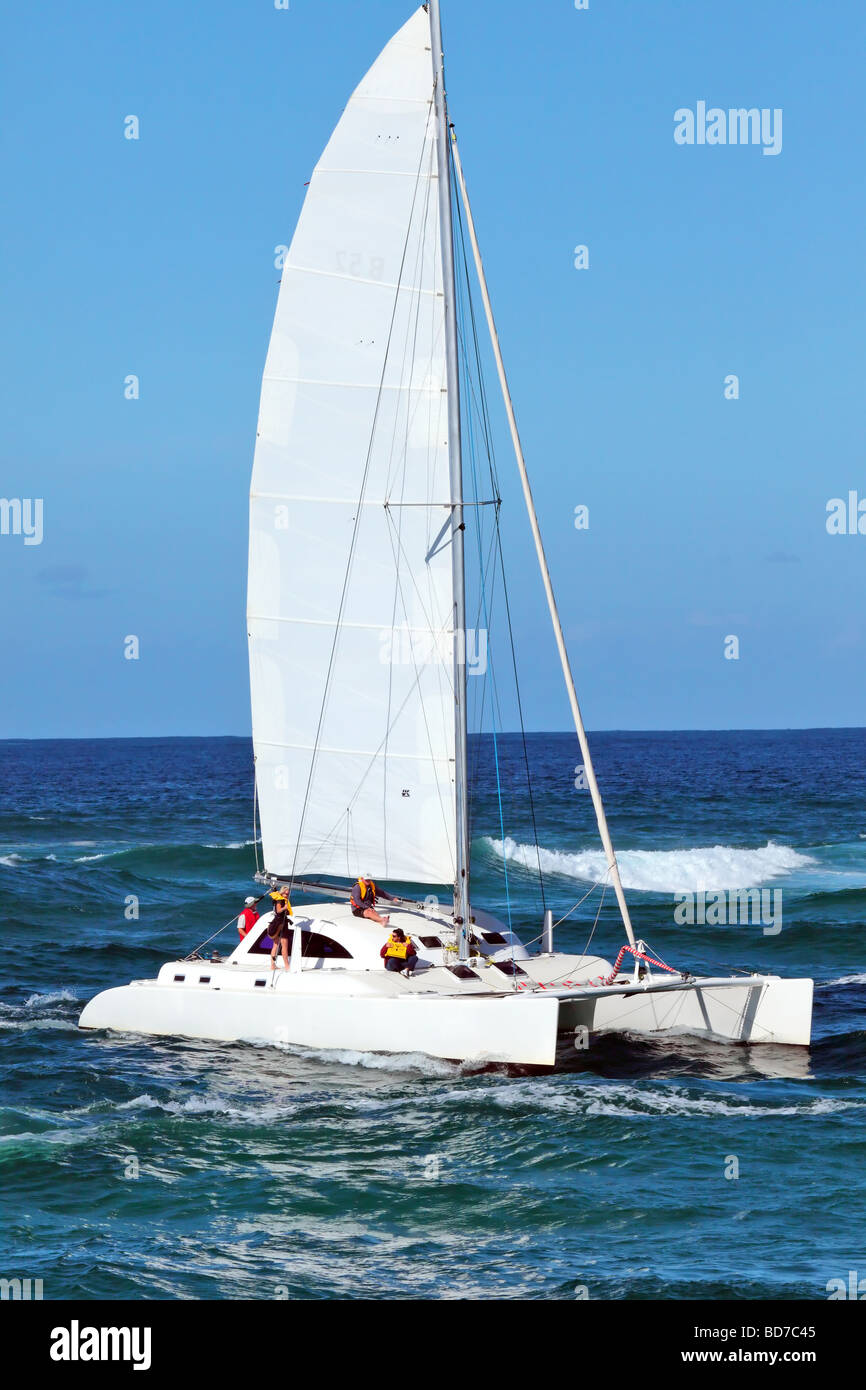 Catamaran comes through high swell into port Stock Photo
