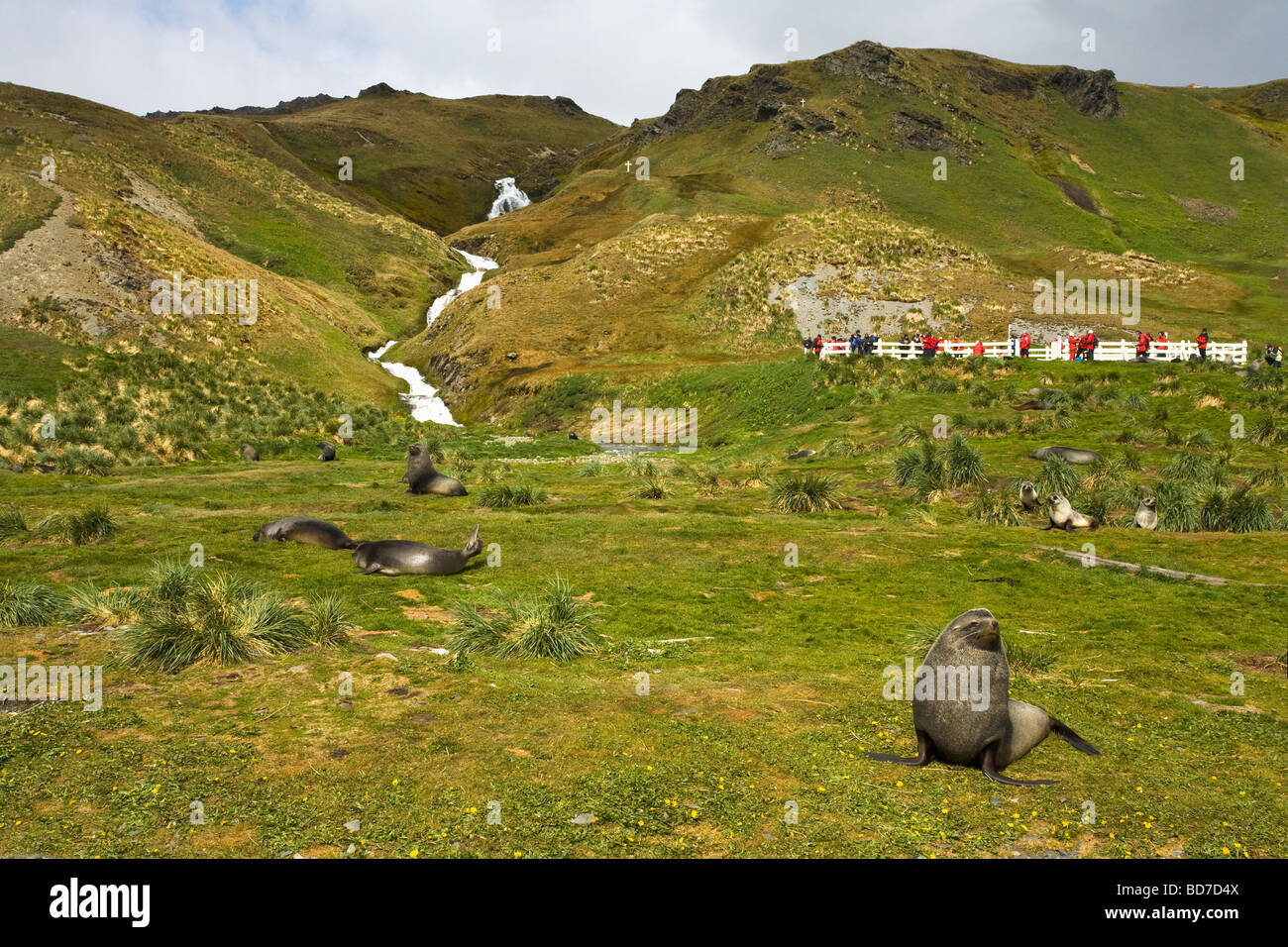 Grave of ernest shackleton hires stock photography and images Alamy