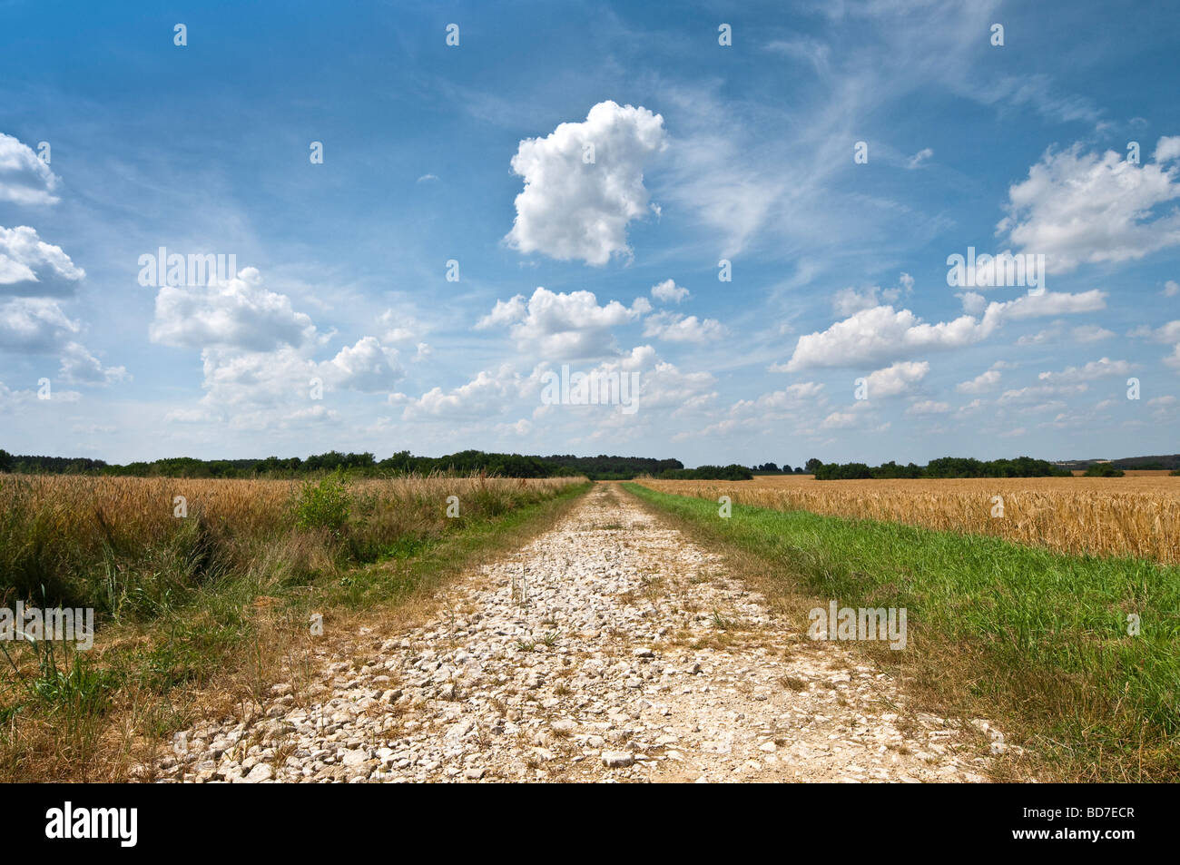 Rough edge border hi-res stock photography and images - Alamy