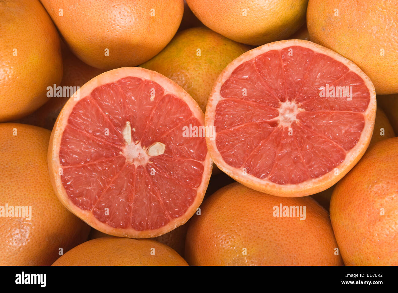 Texas 'Red' Grapefruits halved. Stock Photo