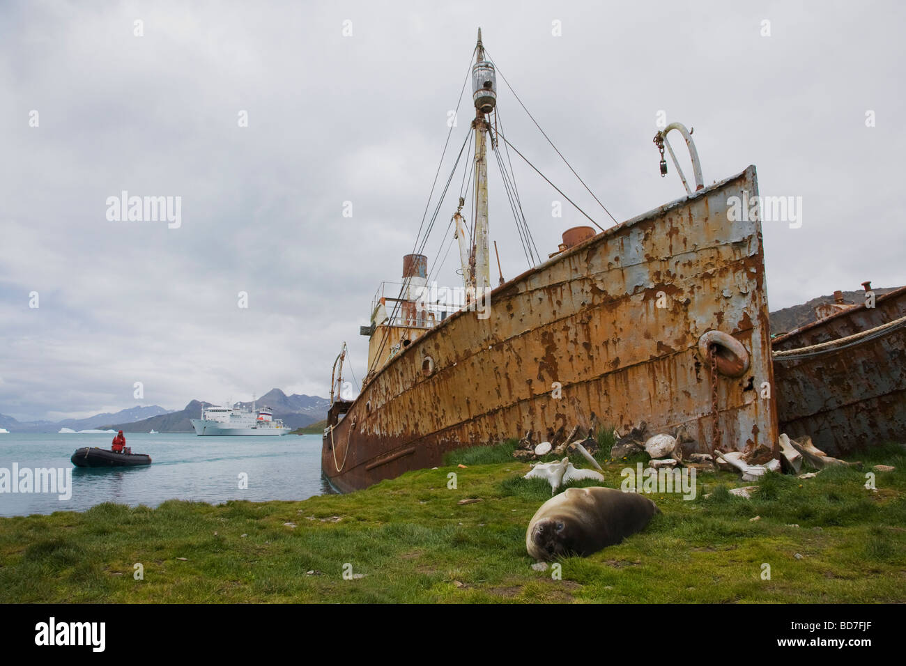 Zodiac boat from Akademik Sergey Vavilov antarctic cruise ship visiting