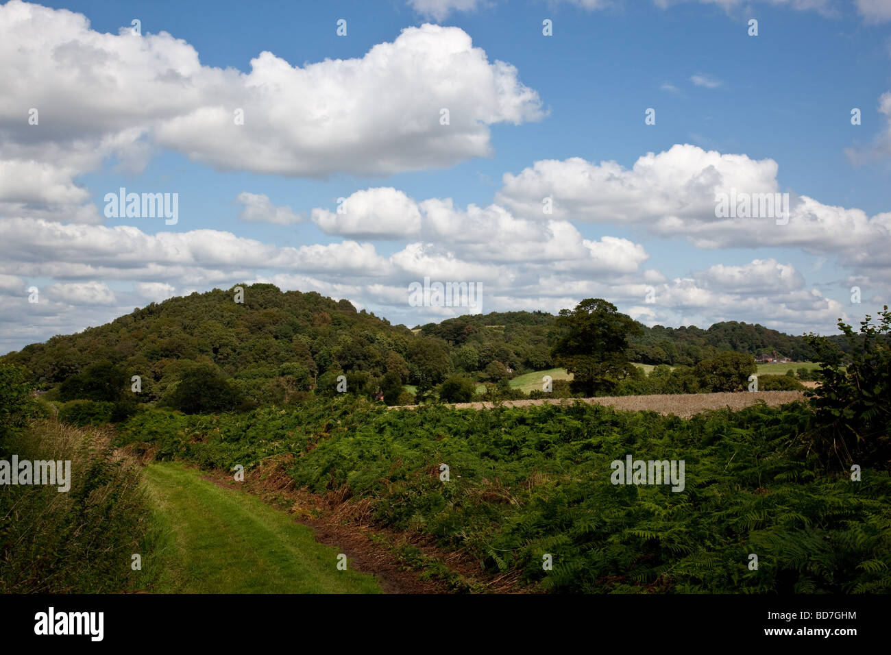 The Lee Hills near Lee Brockhurst as seen from the Shropshire Way, Shropshire, England Stock Photo