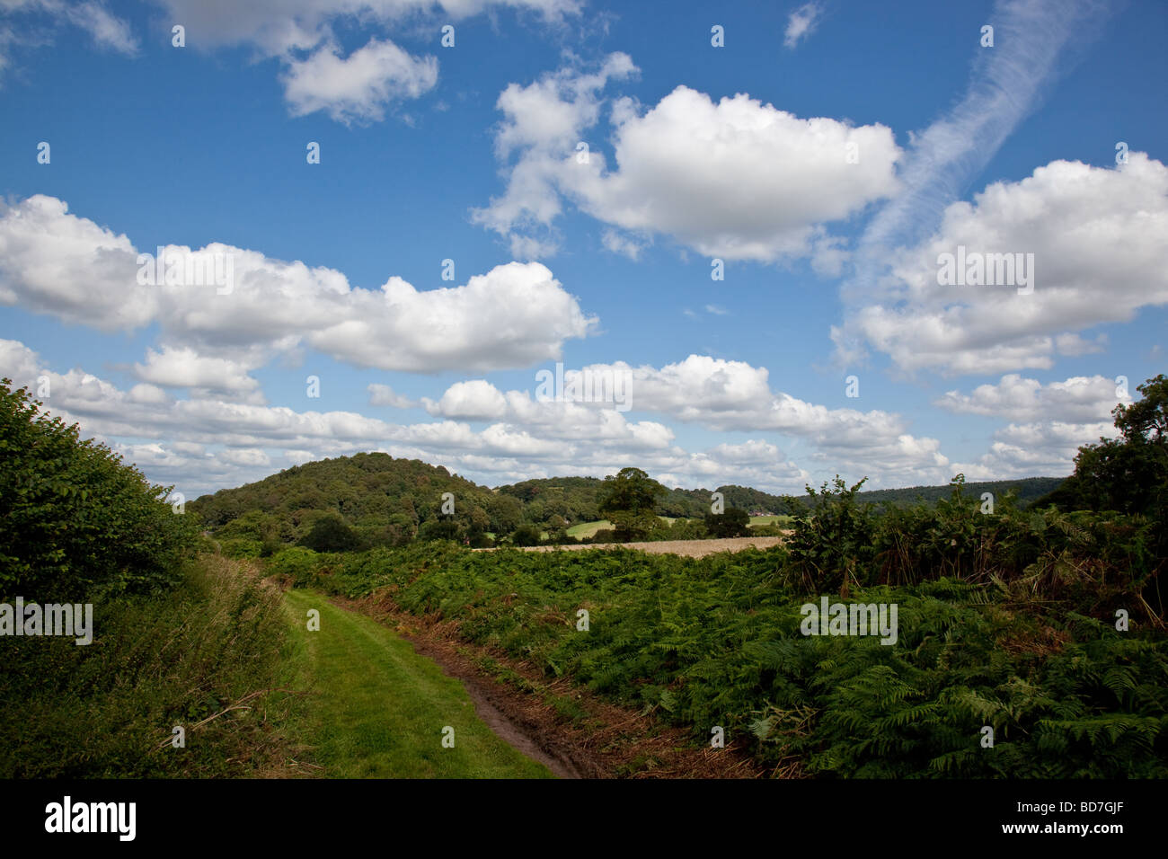 The Lee Hills near Lee Brockhurst as seen from the Shropshire Way, Shropshire, England Stock Photo