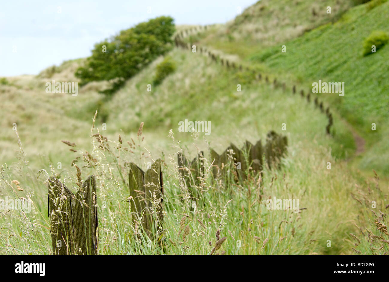 Fence post marking coastal path near Bamburgh Castle, Northumberland ...