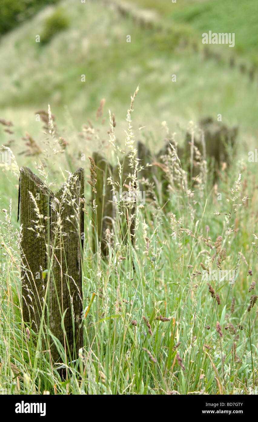 Fence post marking coastal path near Bamburgh Castle, Northumberland ...