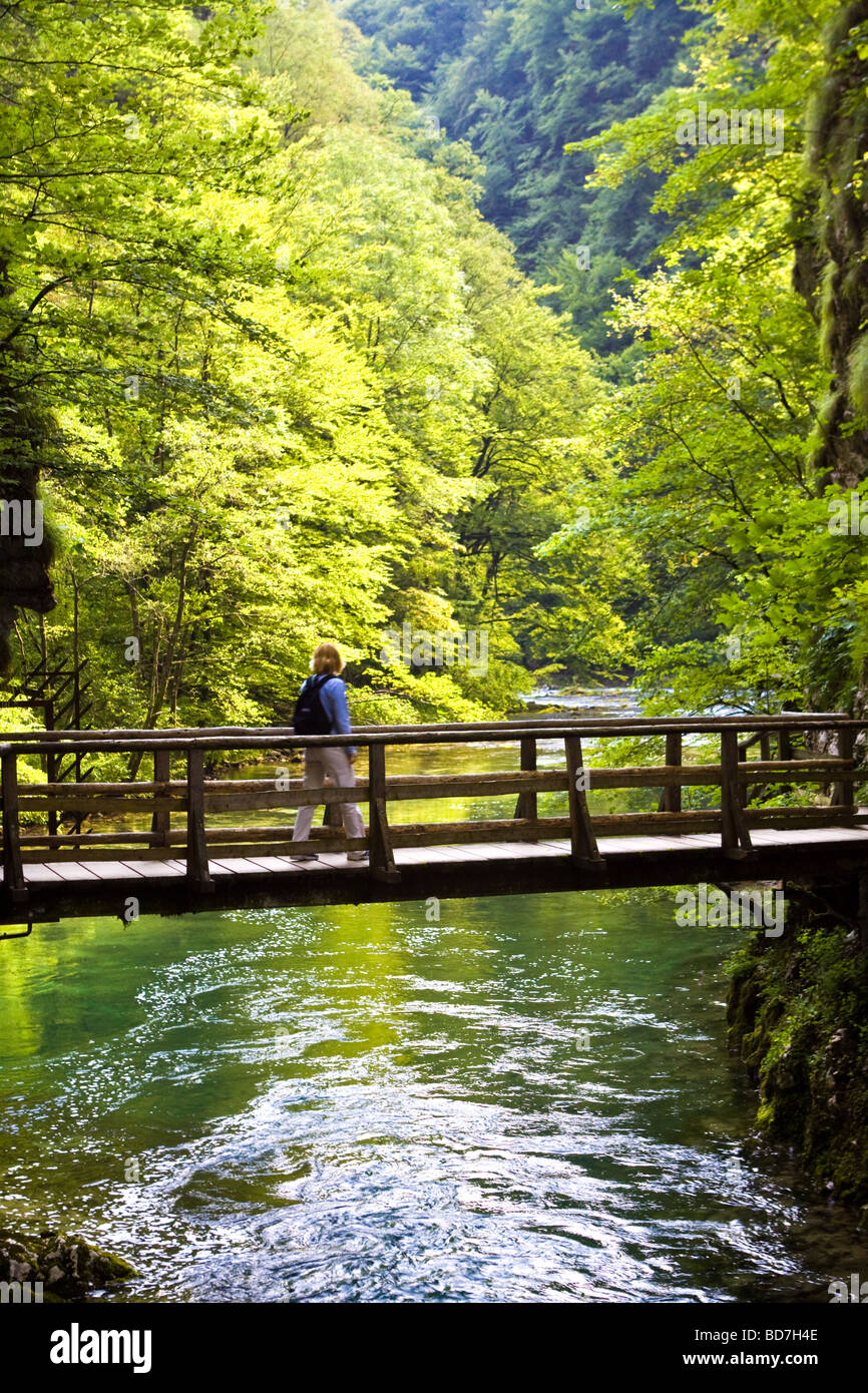 Vintgar Gorge near Bled Gorenjska Slovenia Stock Photo
