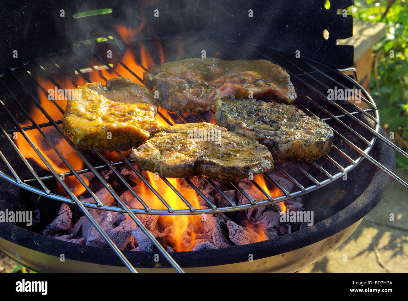 Grillen barbecue 87 Stock Photo