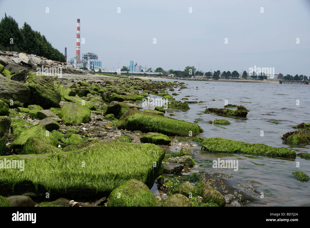 Moss covered rocks on a beach with a factory and a smokestack in the background Stock Photo