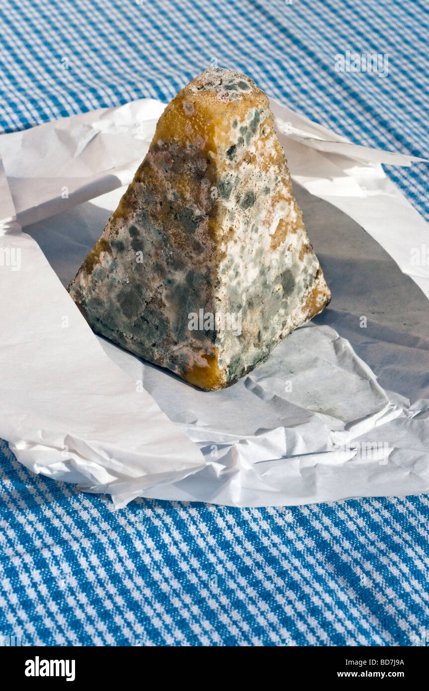 Old Hard Mouldy Hand Made Pyramid Goat S Cheese Fromage De Chevre France Stock Photo Alamy Old Hard Mouldy Hand Made Pyramid Goat S Cheese Fromage De Chevre France Stock Photo Alamy