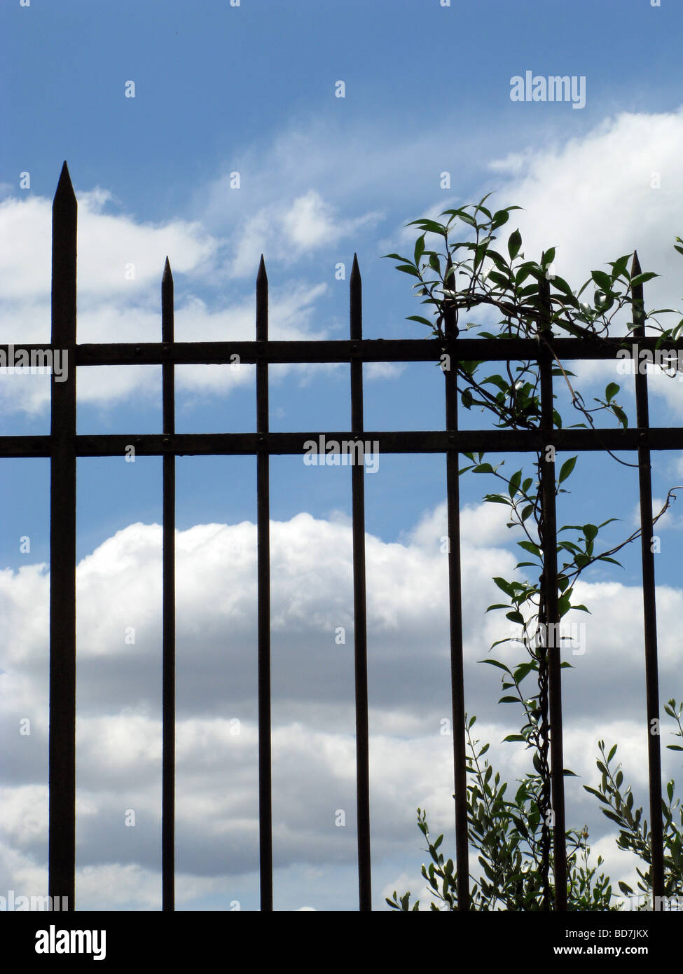 high metal fence and blue sky Stock Photo - Alamy