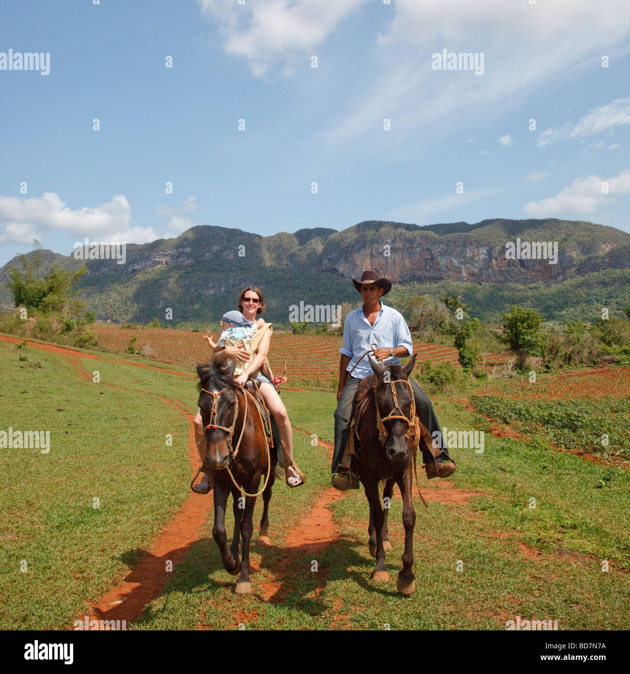 Horse rider male female hi-res stock photography and images - Alamy