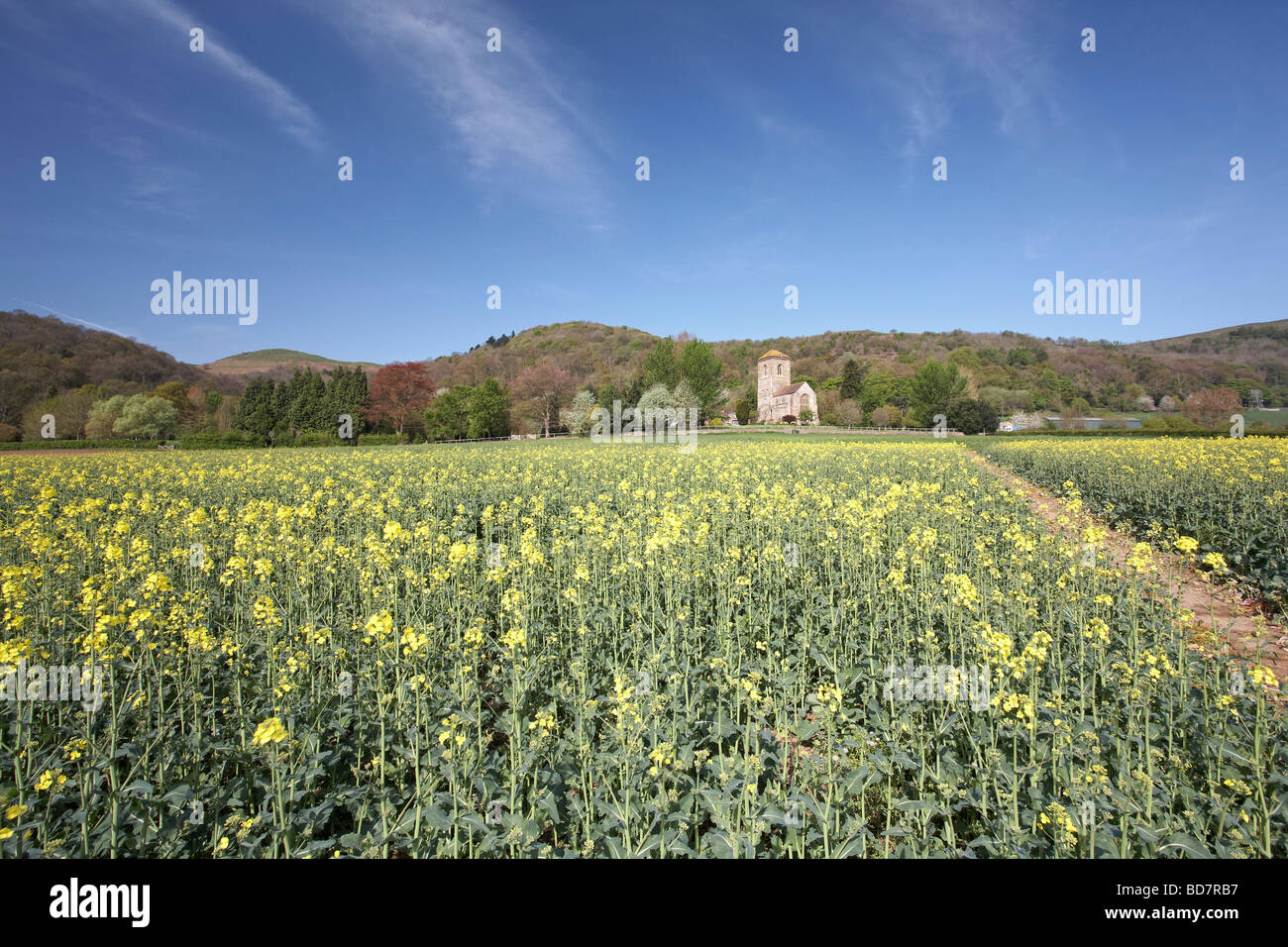 Little Malvern Priory Worcestershire England UK Stock Photo