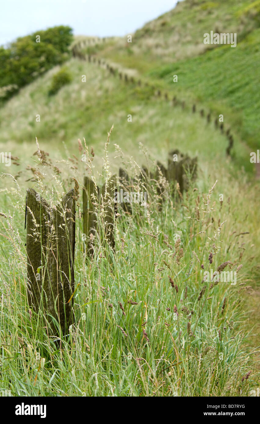 Fence post marking coastal path near Bamburgh Castle, Northumberland ...