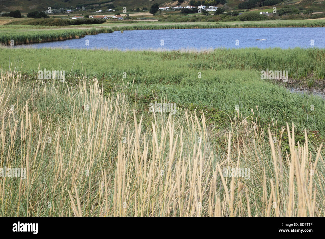 St. Ouen's Pond Jersey Channel Islands Stock Photo