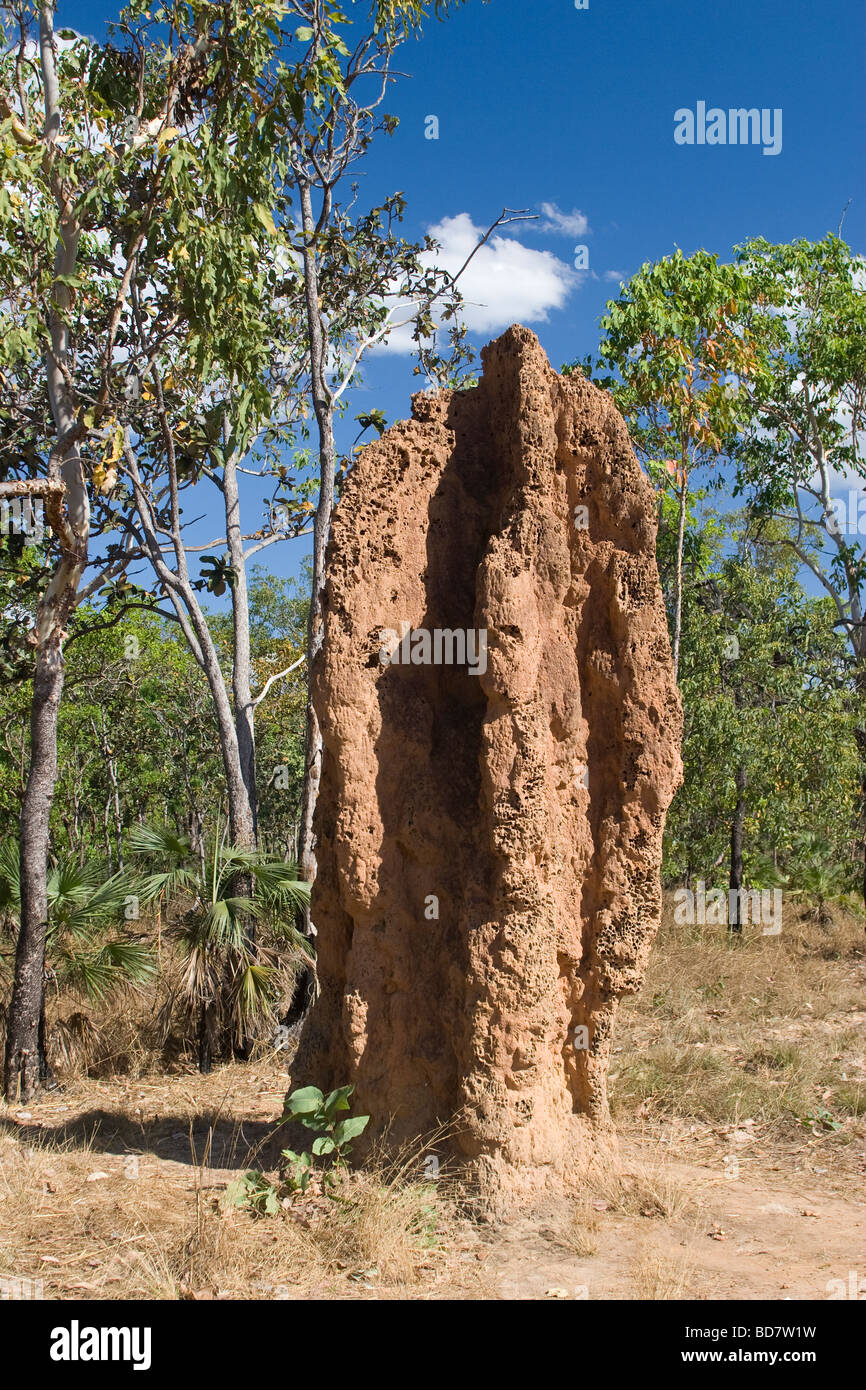 A  giant termite mound stands in the Litchfield National Park near Darwin in Australia's Northern Territory Stock Photo