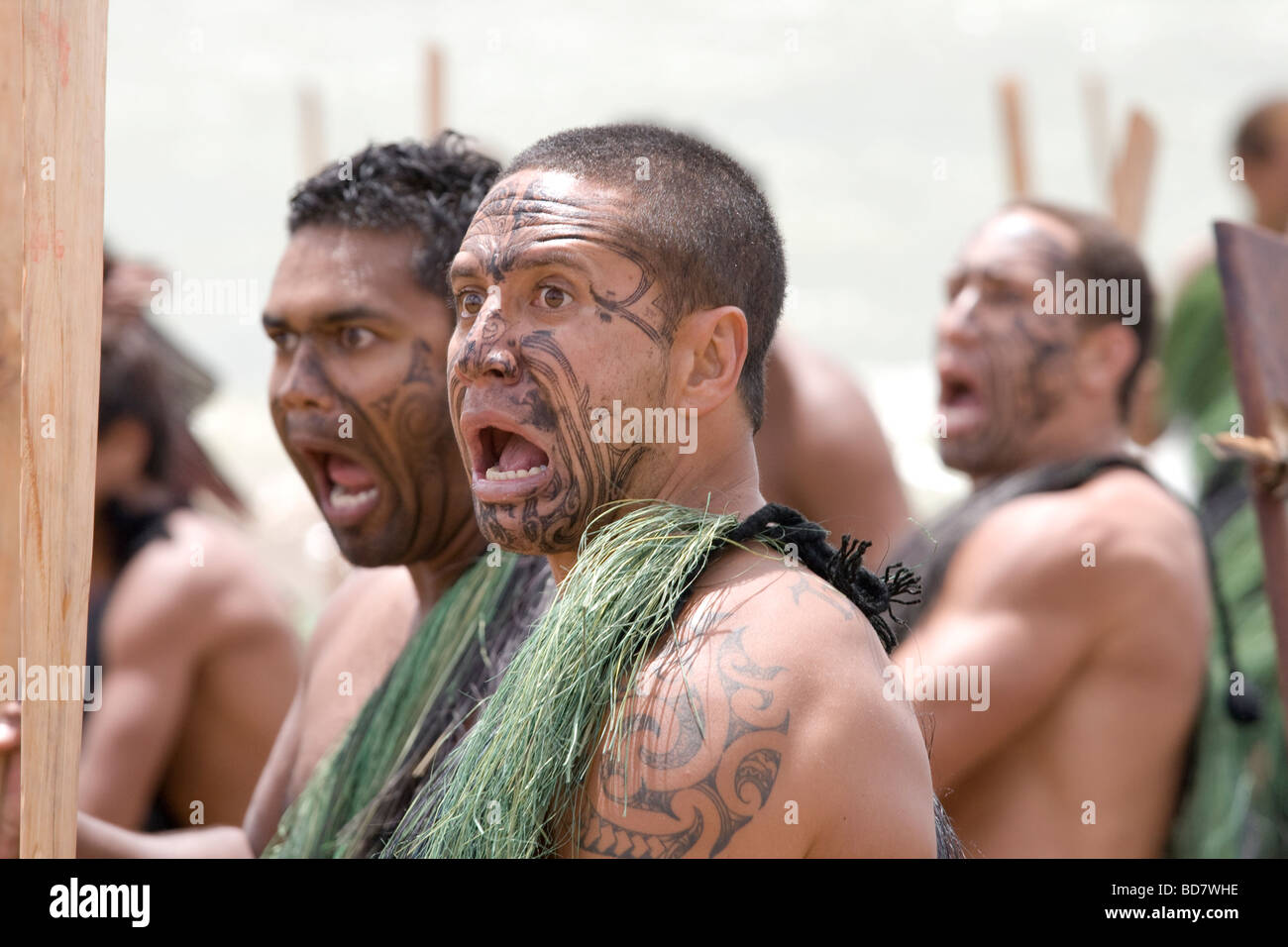Maori warriors at a Haka warrior dance at Waitangi Day February 6th 2009 in Waitangi Stock Photo
