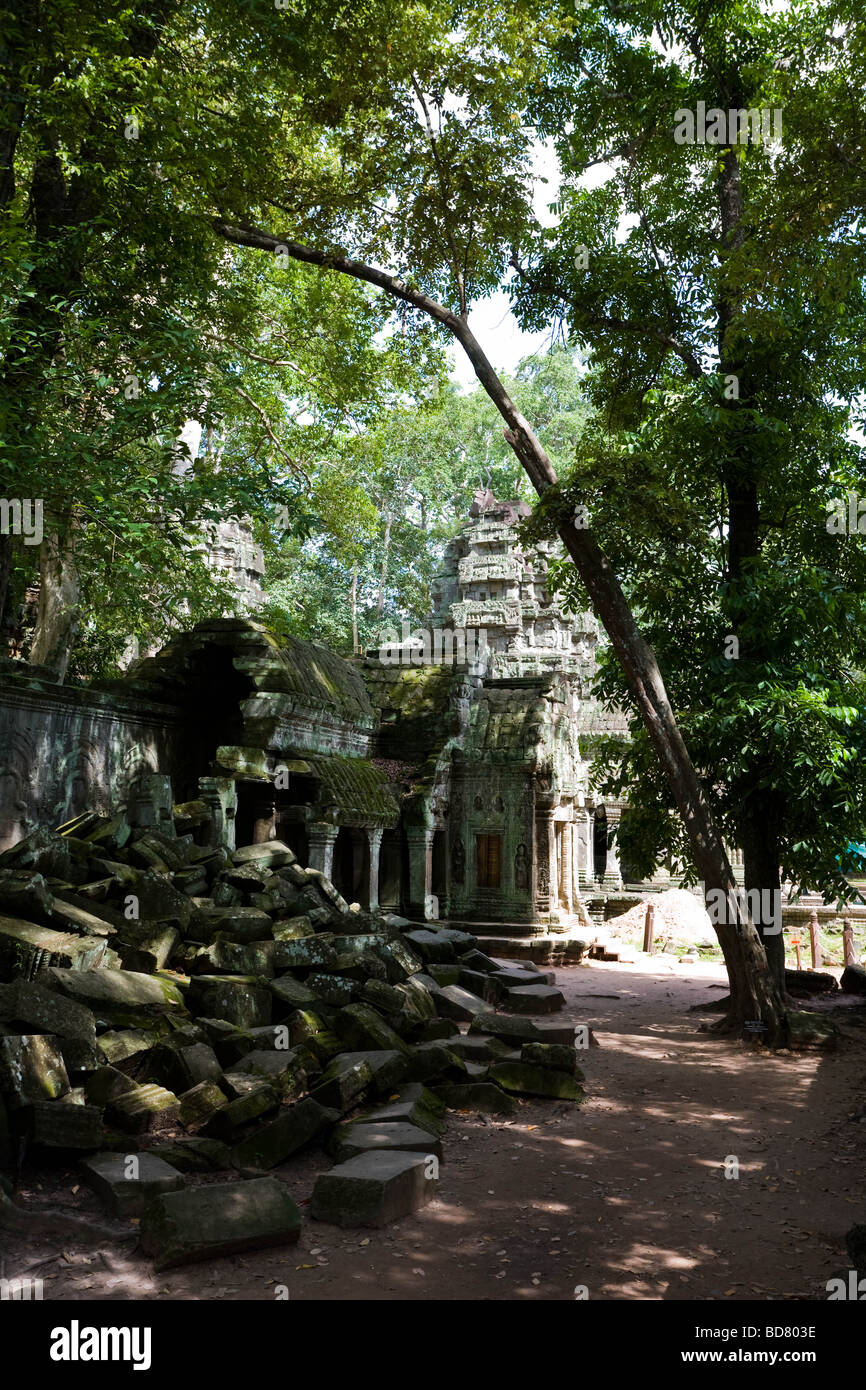 A crumbled wall lies in shadow under dense trees at Ta Prohm, Cambodia Stock Photo