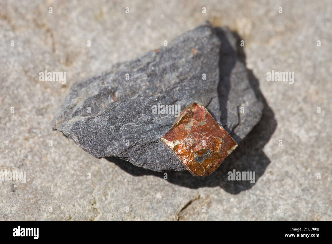 Fools gold or Iron Pyrites in slate rock Stock Photo Alamy