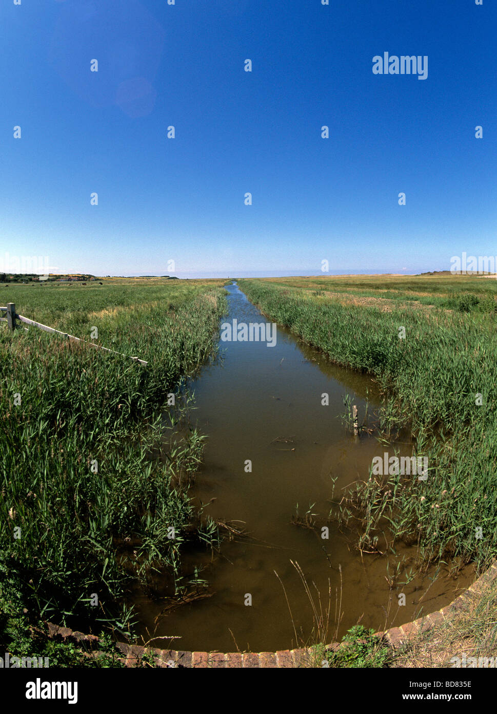 Salthouse marshes with drainage ditches protected from the North Sea by high shingle banks which are constantly being repaired. Stock Photo