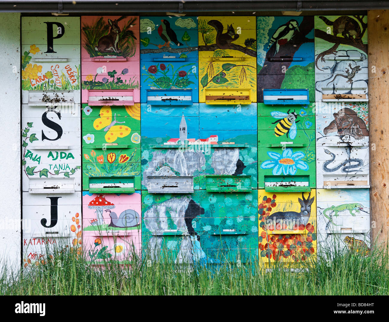 Modern painted beehives, Primorska, Slovenia. Stock Photo