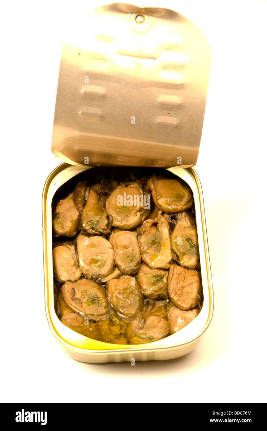 smoked oysters appetizers in cottonseed oil in tin can Stock Photo Alamy