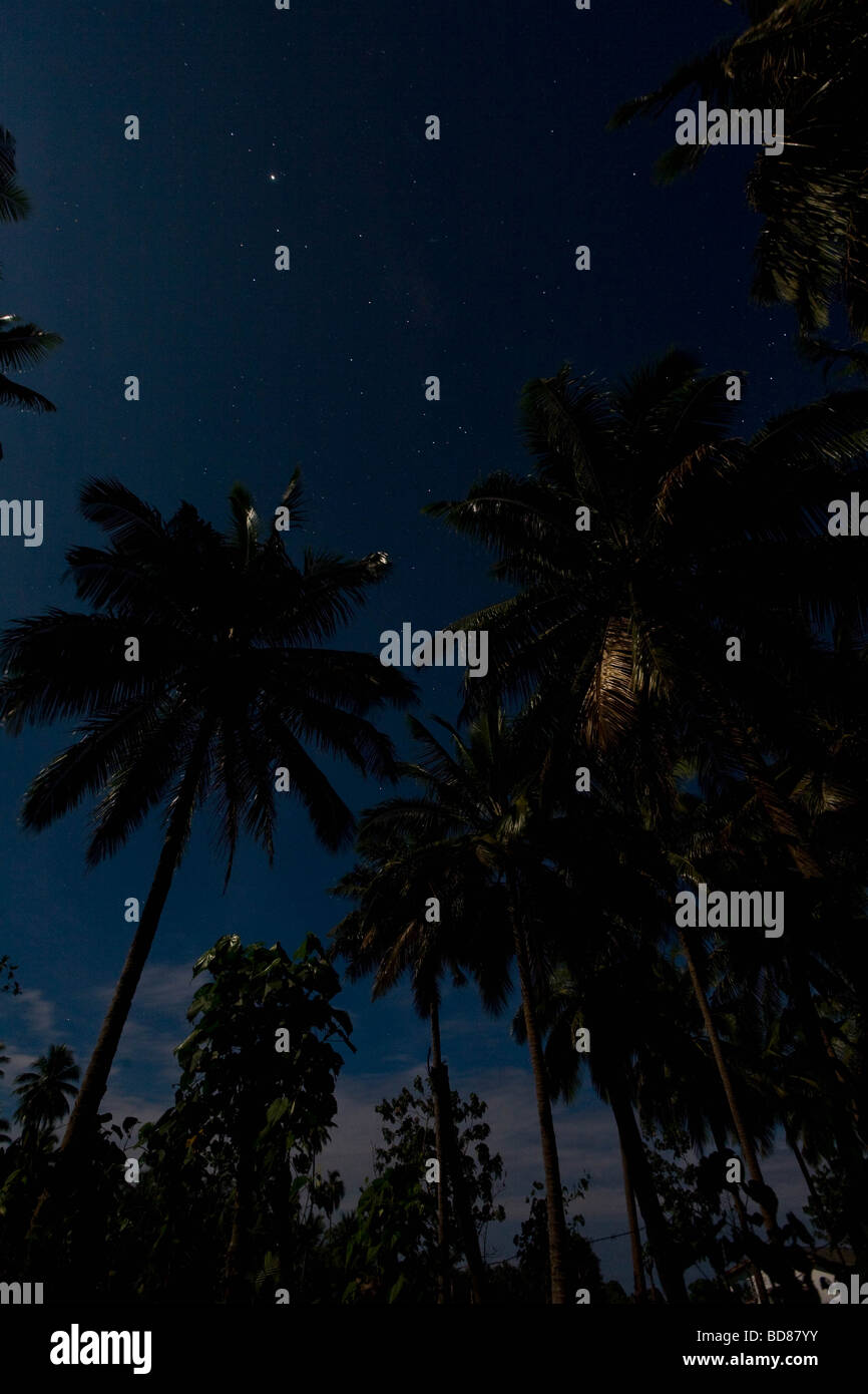 A full moon through palm trees on Ambrym Stock Photo