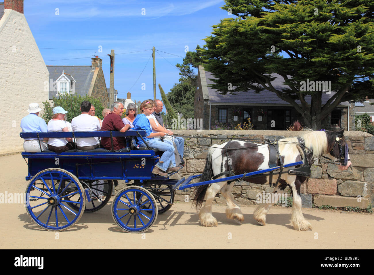 Horse and carrriage the Village Sark Island Channel Islands Stock Photo