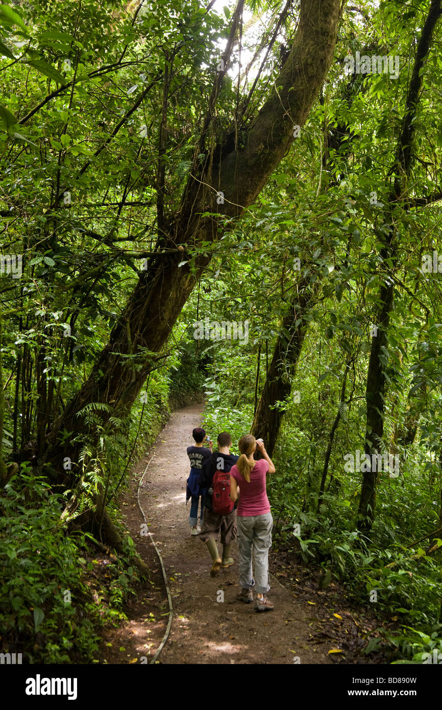 Group of hikers watching wildlife along a trail in the Monteverde Cloud Forest Reserve, Costa Rica. Stock Photo