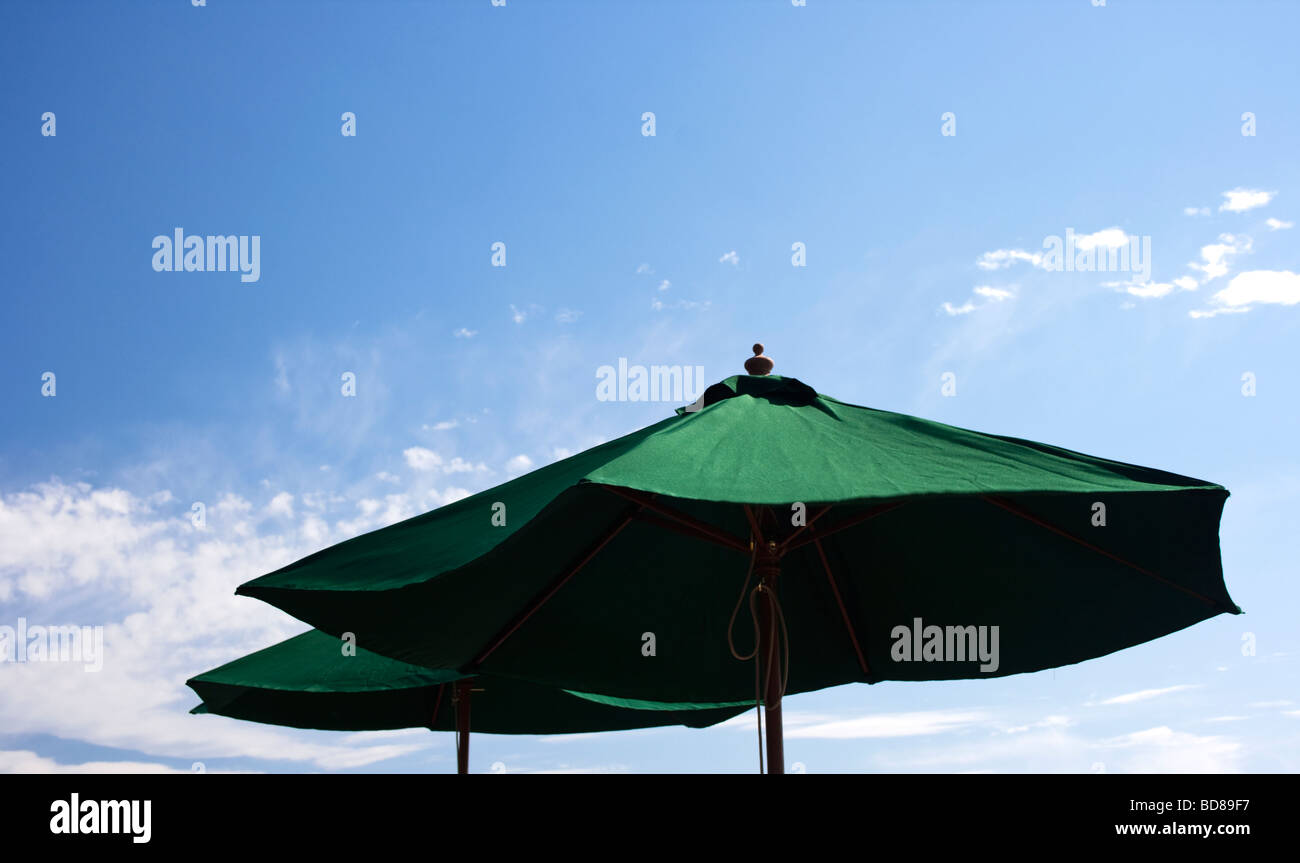 Green Parasols Against a Blue Sky Stock Photo