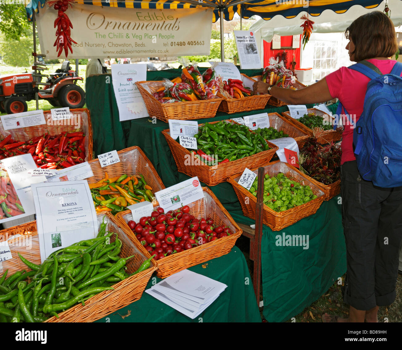 Woman looking at various chillis. West Dean Chilli Fiesta, West Sussex, England, UK. Stock Photo