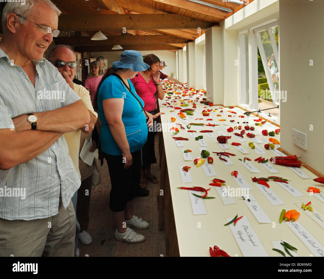 Display of various chillies at the West Dean Chilli Fiesta, West Sussex, England, UK. Stock Photo
