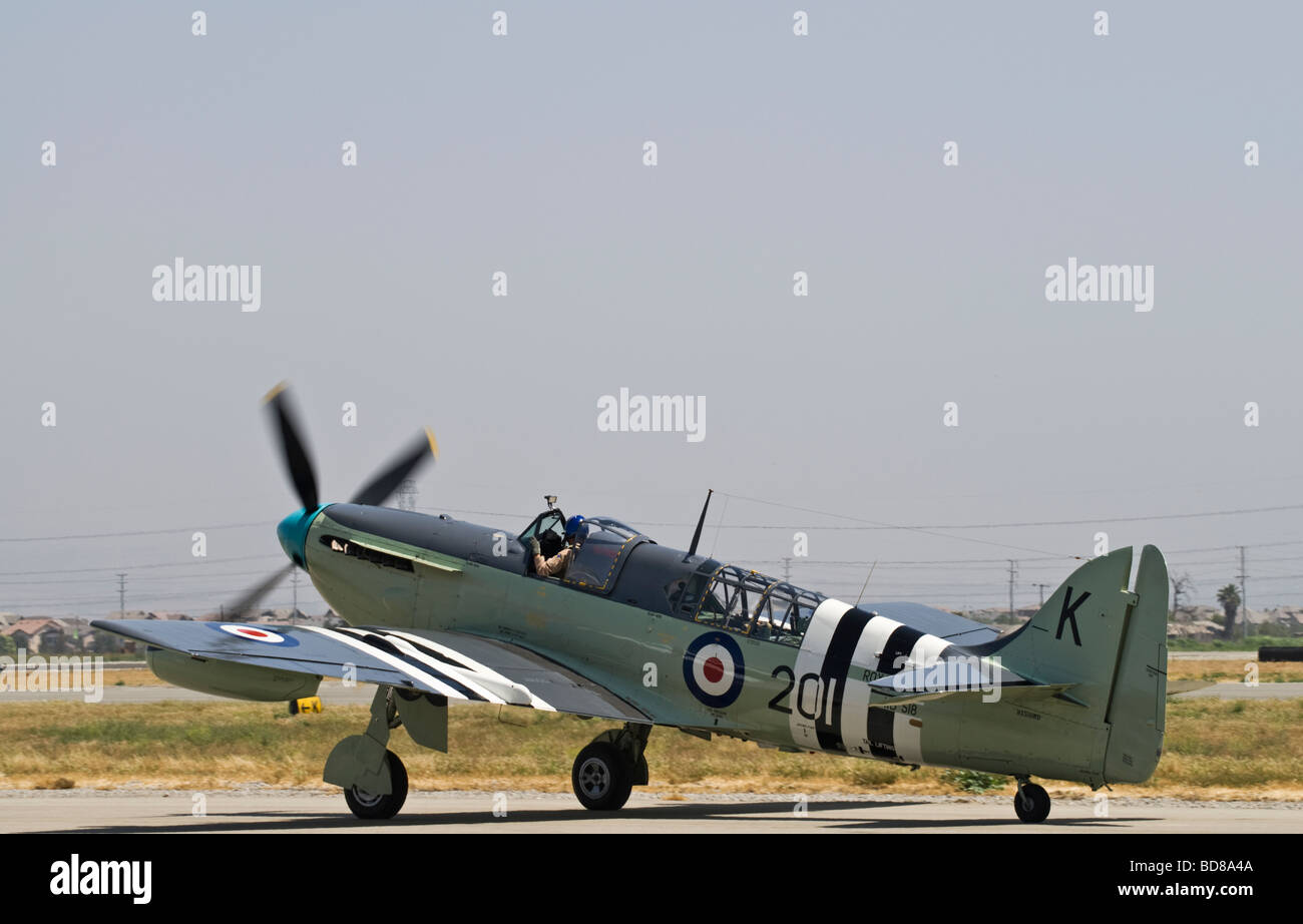 A rare Fairey Firefly Mk V taxis on the runway at an air show. Stock Photo