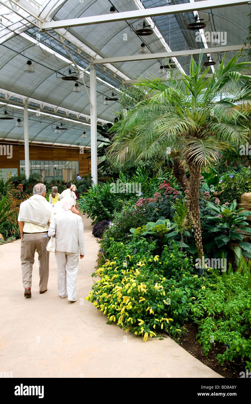 Visitors inside the Glasshouse, RHS Gardens Wisley UK Stock Photo