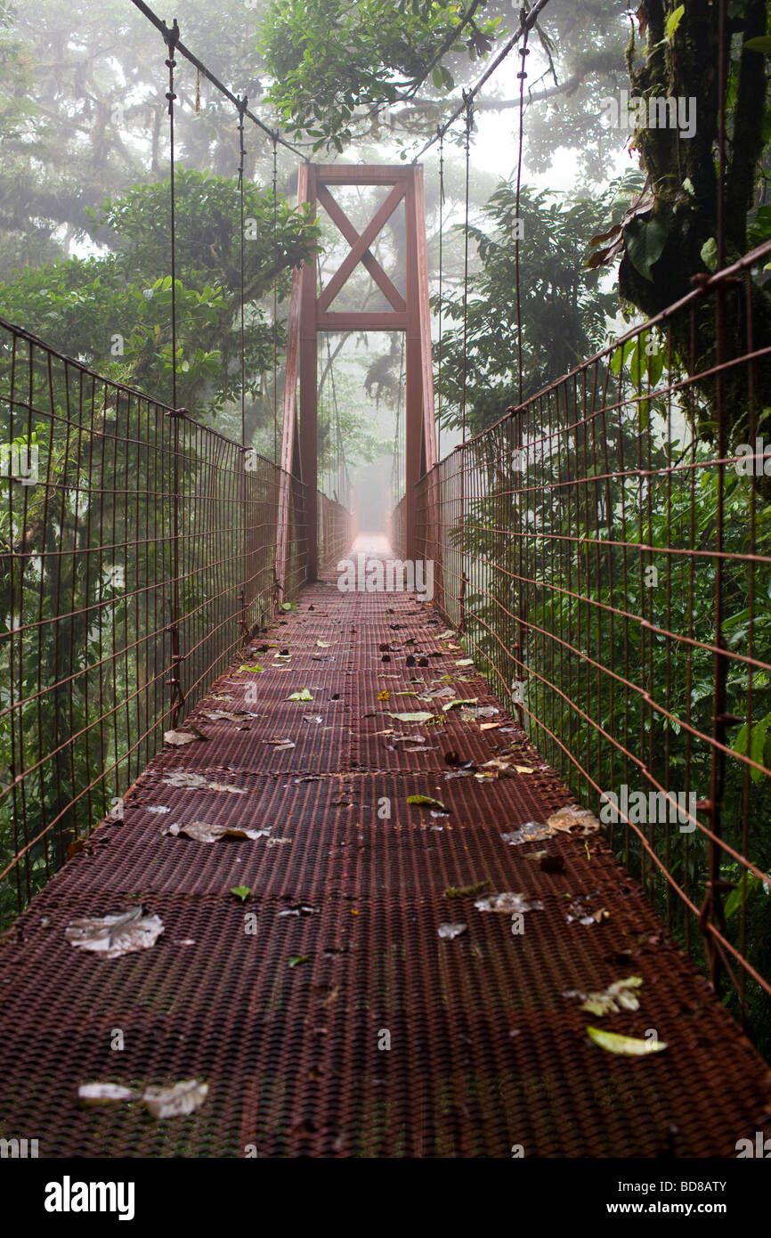 Suspended Bridge in the Monteverde Cloud Forest Reserve, Costa Rica. Stock Photo
