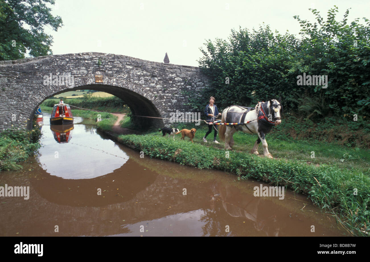 Horse drawn Narrowboat on the Brecon to Monmouth Canal in Wales Stock Photo