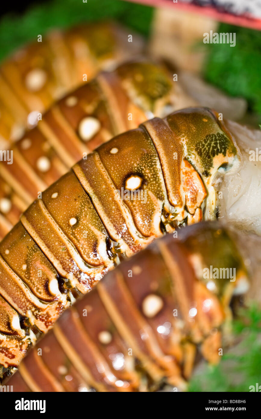 Brightly-coloured lobster tails on sale in the fish market of Pike Place, Seattle Stock Photo