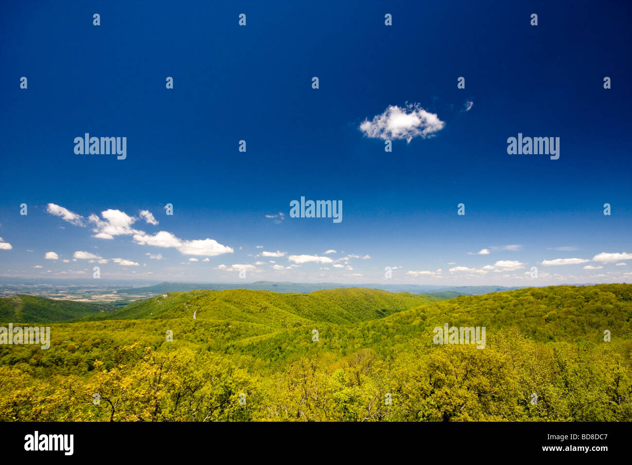 Shenandoah National Park Stock Photo