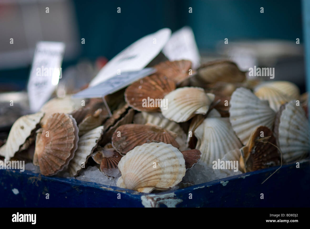 Walthamstow market hi-res stock photography and images - Alamy