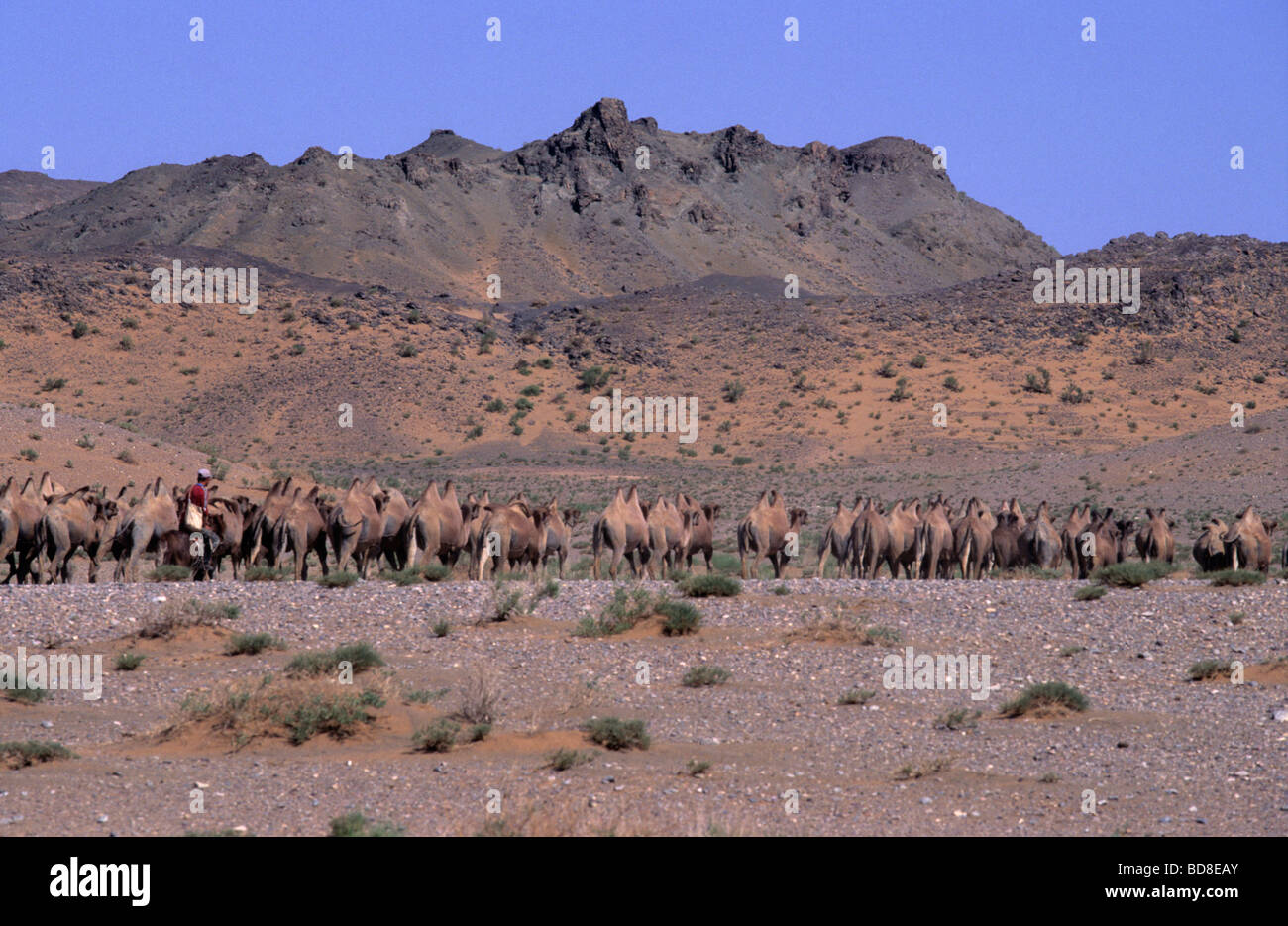 Gobi Desert, Mongolia Stock Photo