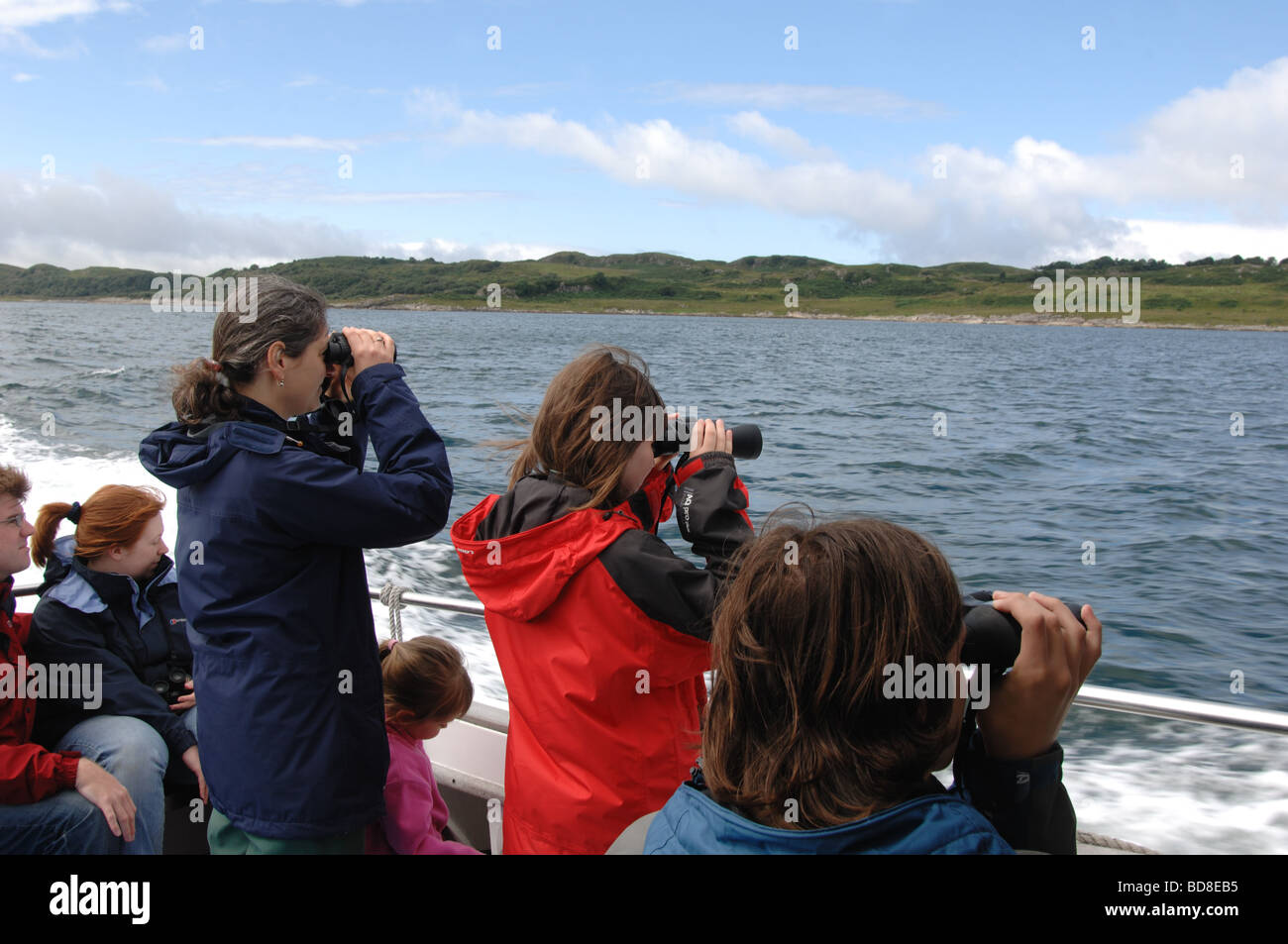 Tourists on a sightseeing boat in Loch Craignish watch wildlife with binoculars on the west coast of scotland Stock Photo