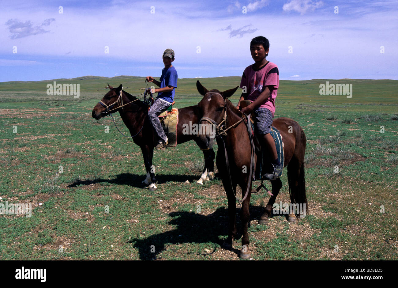 Portrait of a nomadic mongols horsemen with their horses, Mongolia Stock Photo