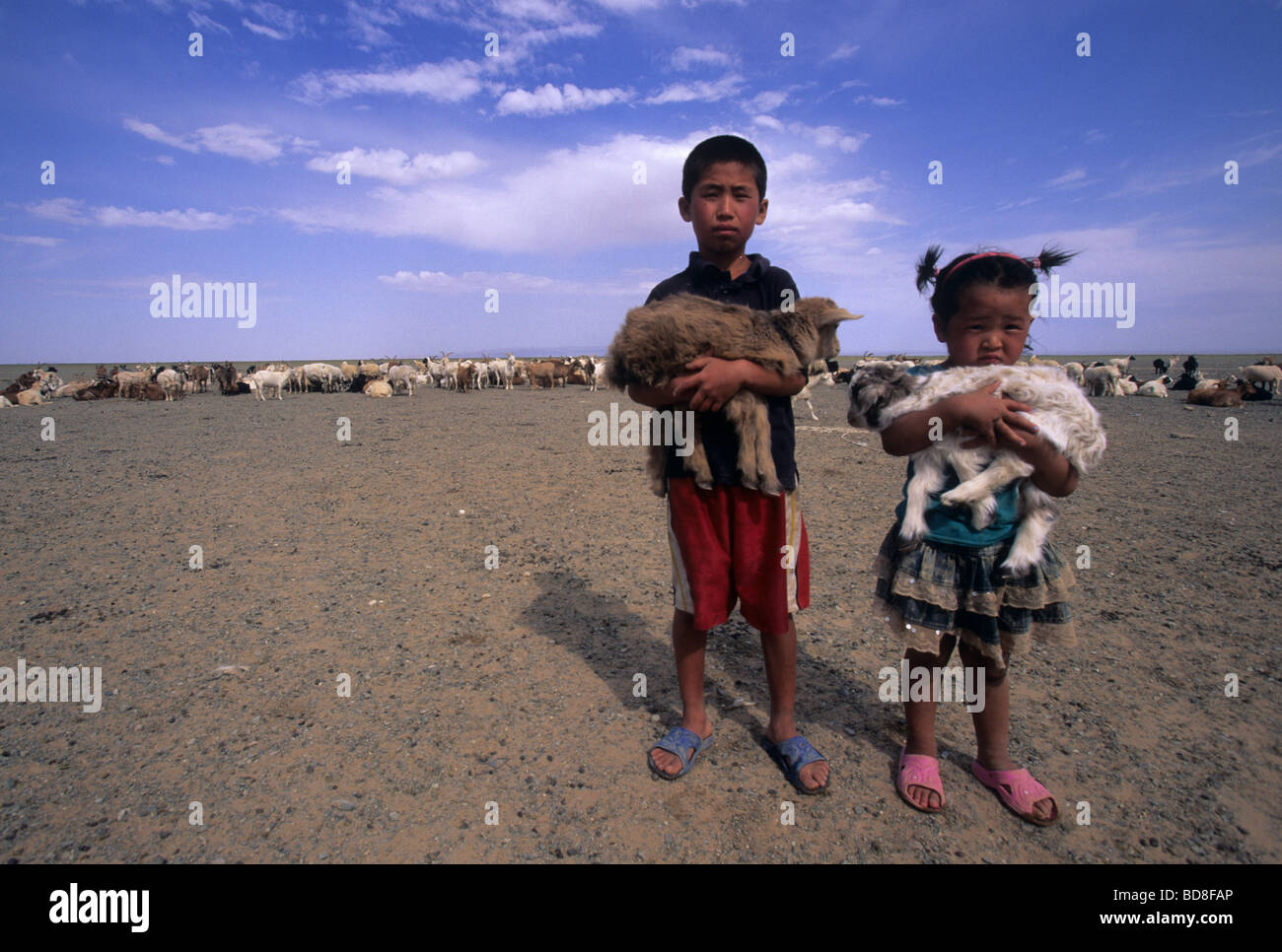 Mongolian children holding a lamb in their arms, Mongolia Stock Photo ...