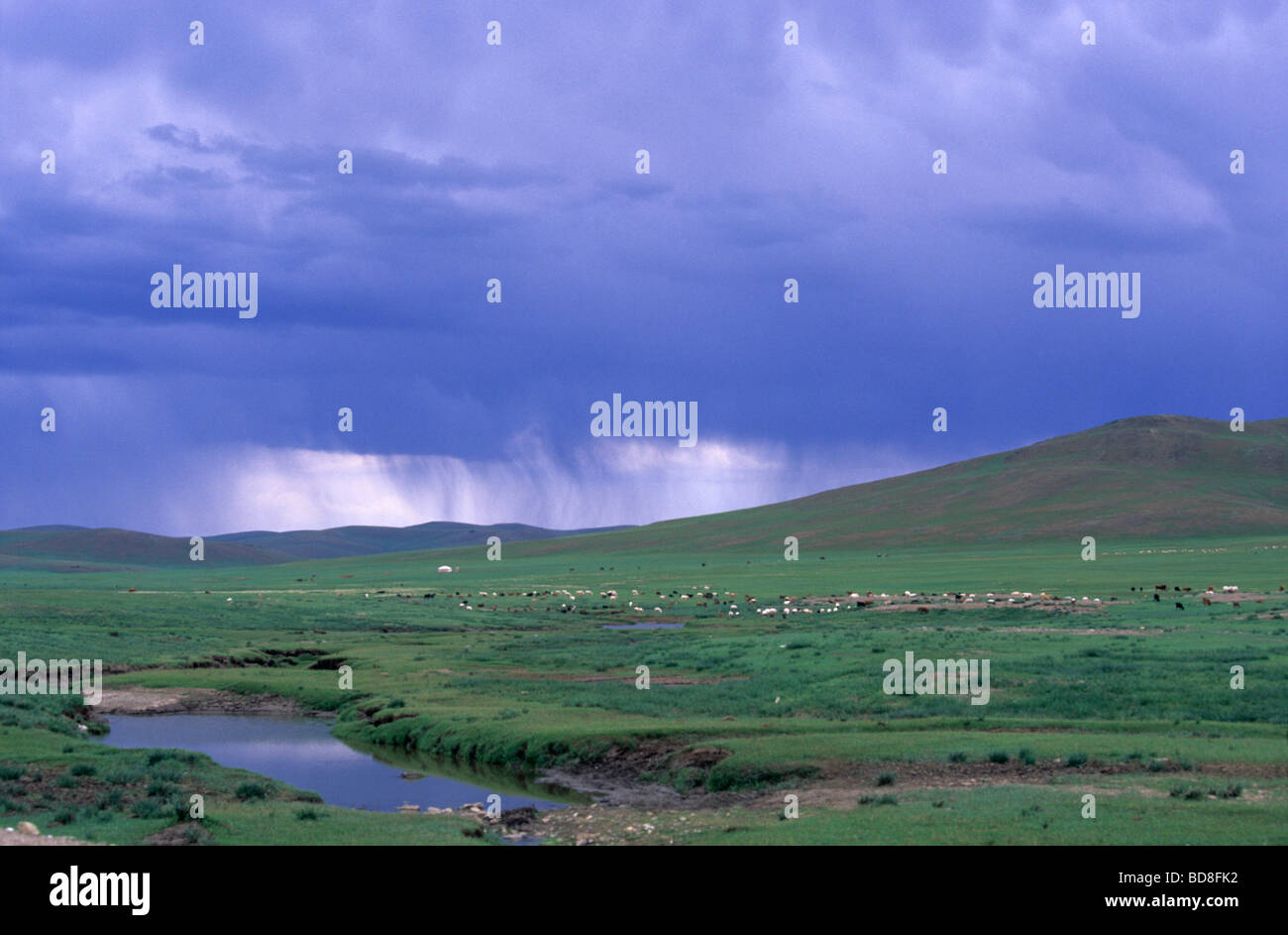 Storm over the steppe, Mongolia Stock Photo
