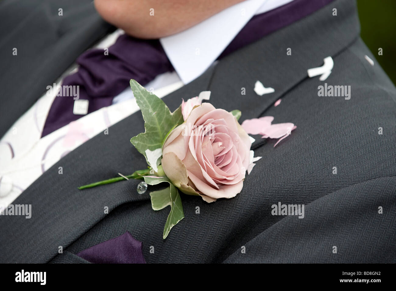 Grooms rose corsage Stock Photo Alamy