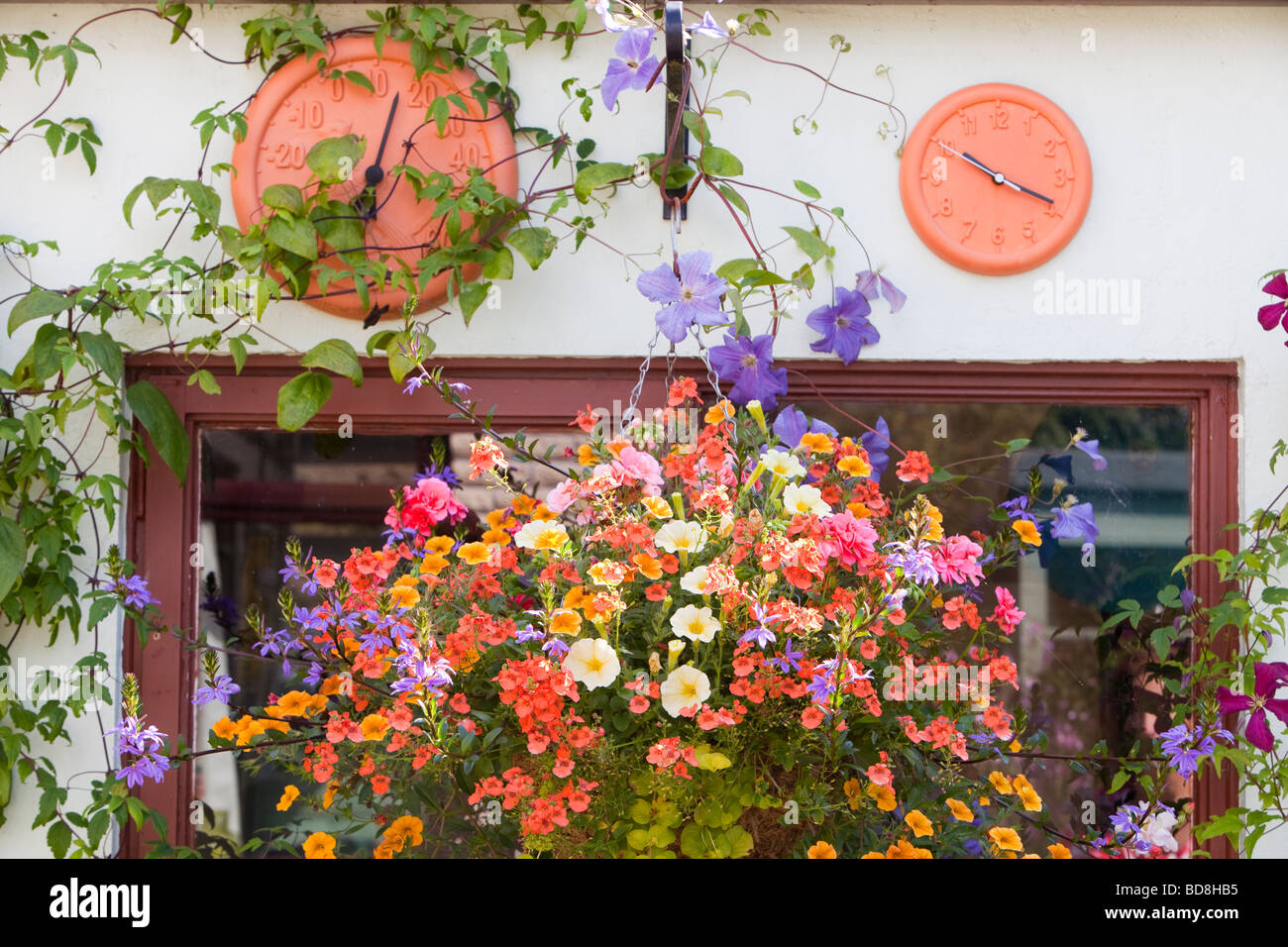 Flowers In Hanging Basket Yellow Stock Photos &amp; Flowers In ...