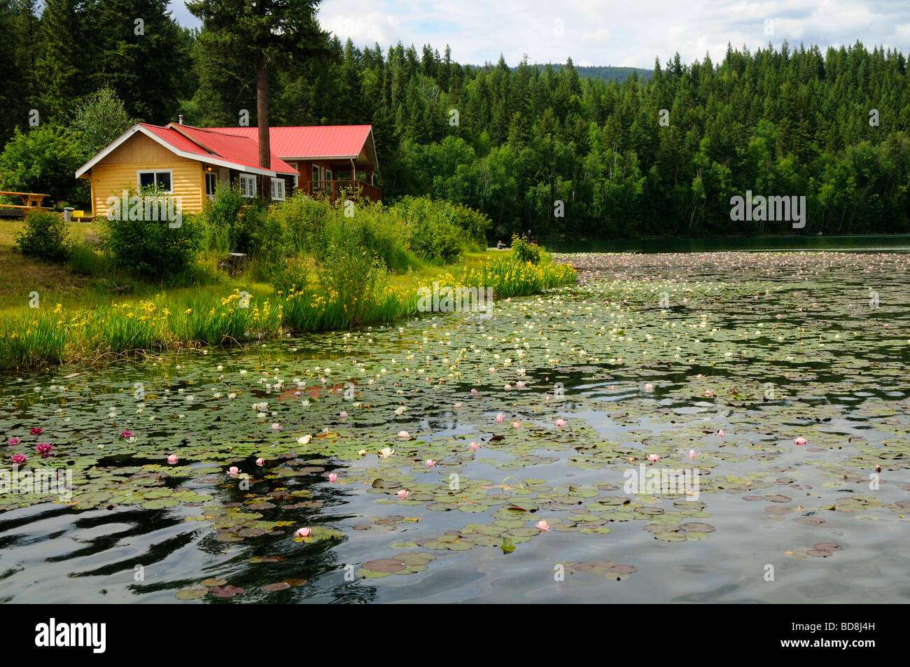Cabin By The Waterlilies At The Beautiful And Tranquil Dutch Lake