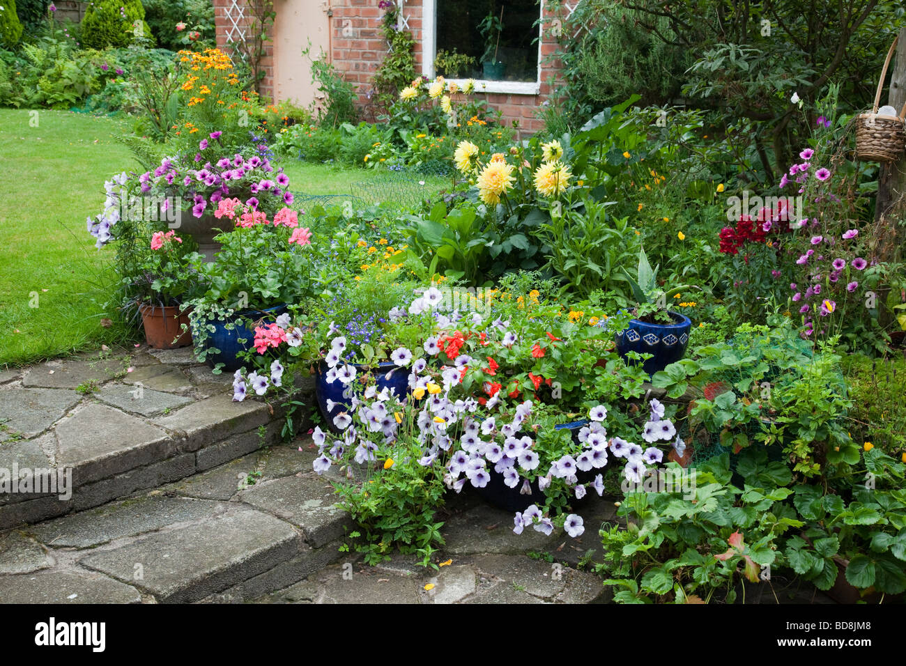 Garden steps with trailing blue vein and pink vein surfinias tagetes dahlias and geraniums Stock Photo