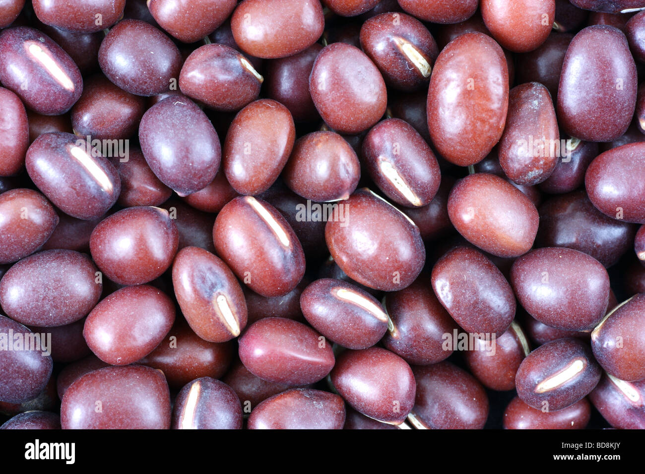 Organic Adzuki beans close view Stock Photo